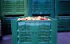 Plastové přepravky na ovoce a zeleninu
