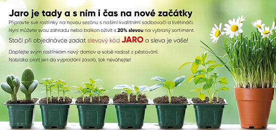 Akce Jaro